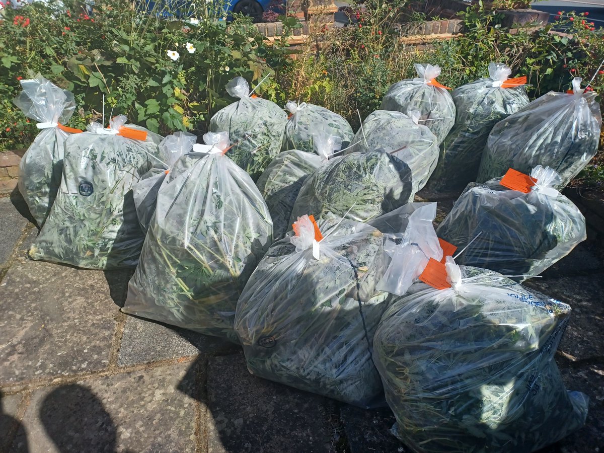 Officers from North Cluster SNT carried out TWO POSITIVE DRUGS WARRANTS on Worcester park South Ward this morning. One suspect arrested at each address. Great result for the team!!