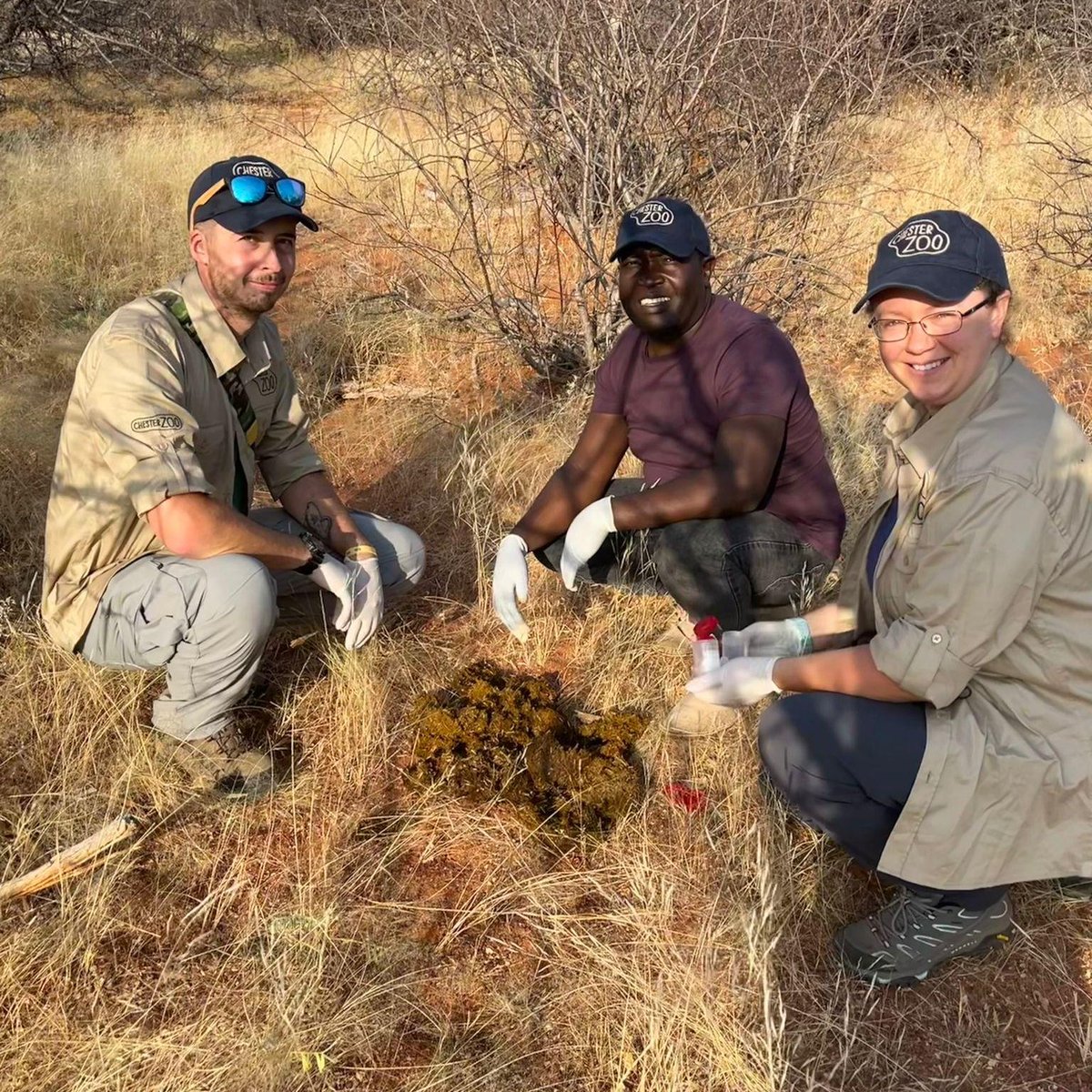 ScienceatCZ's tweet photo. Protecting rhinos in Kenya! 🦏🇰🇪

Our Conservation Scholar @CedricKhayale is working with @Katie_L_Edwards to help build physiological monitoring into black rhino conservation management.

With only ~6,195 of this unique species left, this research may prove to be crucial 🩶 https://t.co/iOua1nSZLV