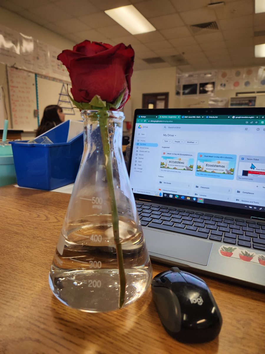 villa_sci's tweet image. When a student gifts you a rose 🌹 and you don't have a vase, but you teach science. 🤣

I  feel ✨️appreciated✨️ this morning. Thankful to start my Friday with a little positivity🩷

#SamSide #BuildingRelationships