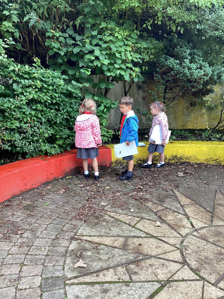 HorwichParishCE's tweet photo. 1H have been on a minibeast hunt, we were looking in different microhabitats.πππͺ±ππ #hpy1 https://t.co/oCMop19nOa