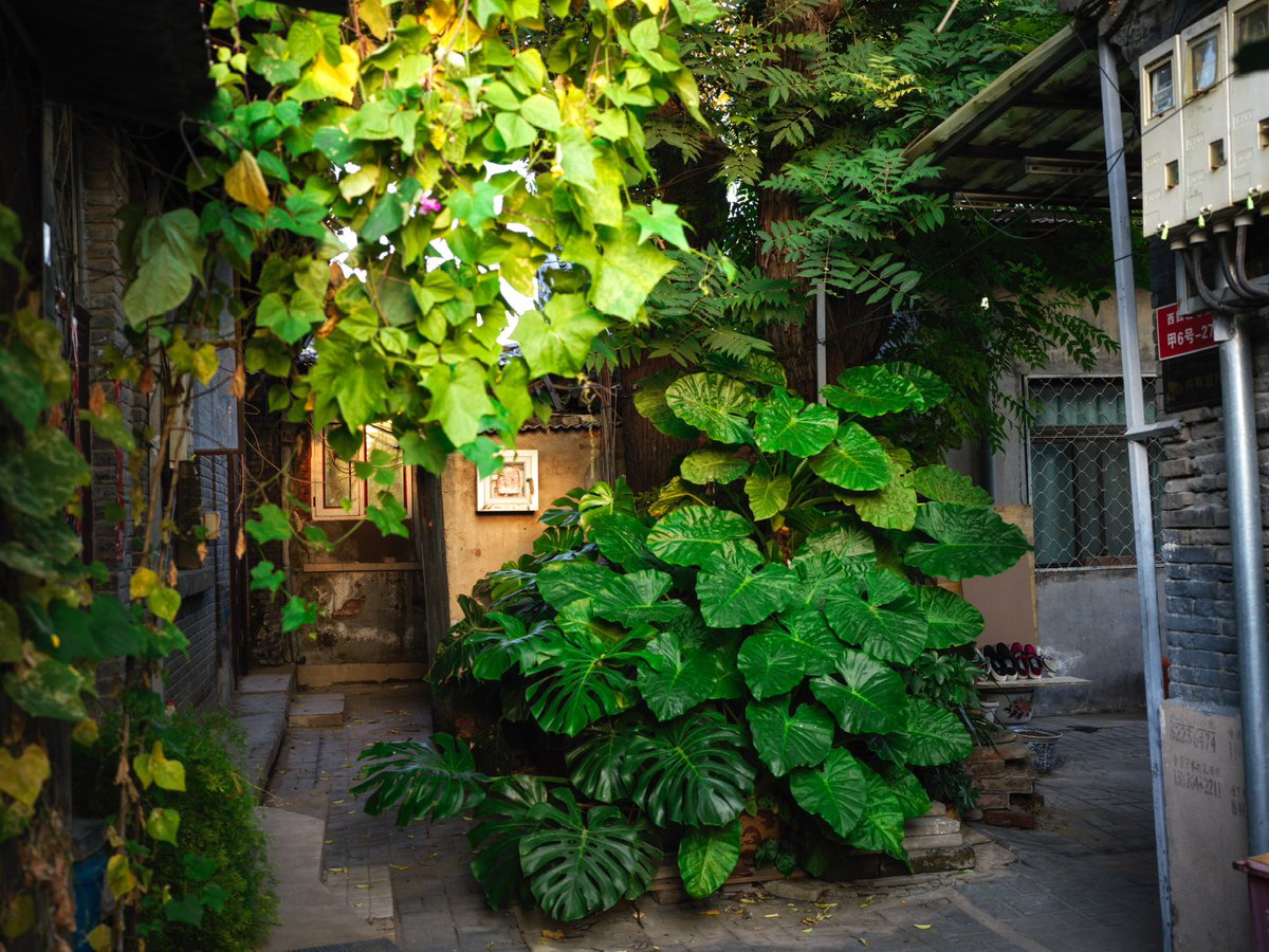 行人短裤日渐少，方觉帝都秋已凉