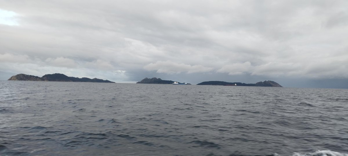 MartaAlvarezRo5's tweet photo. #INOCENlab retoma la participación en la Radial de Vigo del @IEOoceanografia, datos de química inorgánica, sobre la salud de la Ría de @vigo_e y contribuir a #EEMM del @mitecogob
A bordo del BO Mytilus, gran tripulación y personal técnico del @IEOVigo y @utm_csic https://t.co/1EUfWzXR4U