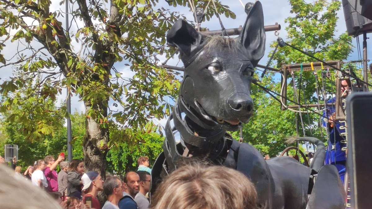 lady_octo's tweet photo. Petite sortie à Nantes pour rencontrer le Bull machin et revoir Xolo 💕😍
#RoyaldeLuxe #Bullmachin #Xolo https://t.co/LA2gHBuf3N