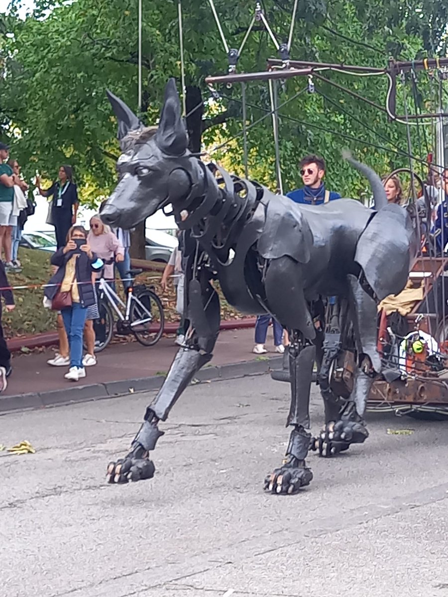 lady_octo's tweet photo. Petite sortie à Nantes pour rencontrer le Bull machin et revoir Xolo 💕😍
#RoyaldeLuxe #Bullmachin #Xolo https://t.co/LA2gHBuf3N