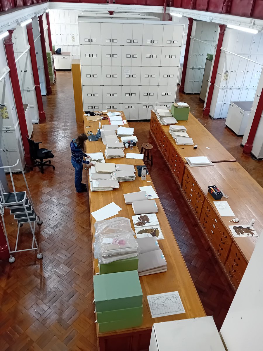 Alison Moore tweet media