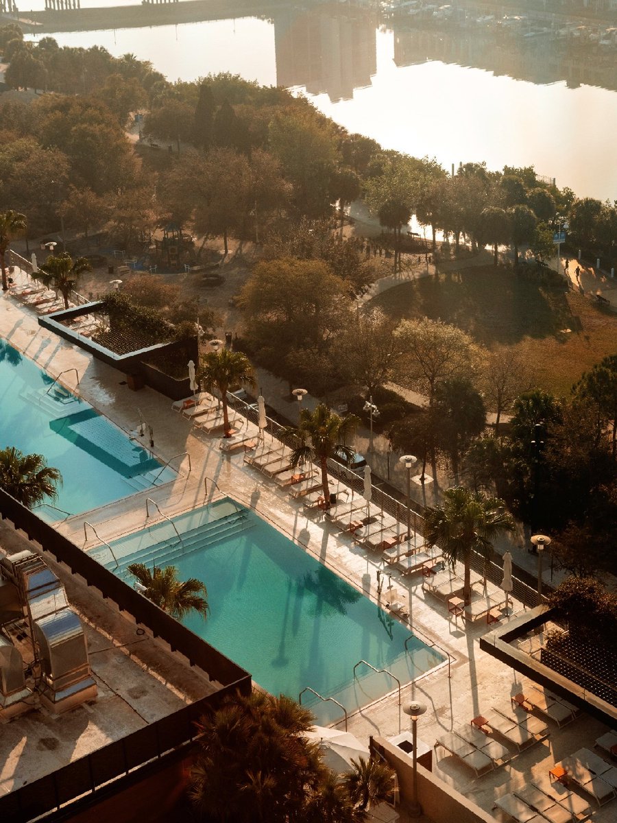 jwmarriotttampa's tweet photo. We prefer to enjoy fall poolside with Tampa views. 

Click the link in our bio to book your fall getaway in style. 

pc: ioegreer + maddiegreer via Instagram #JWMarriott #rooftoppool #DowntownTampa  #tampaviews #aroundtampa #floridafall #tampavibes https://t.co/0U25FHqmTf