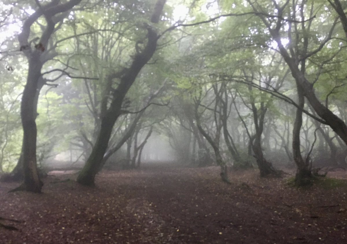 Nicky Jones tweet media