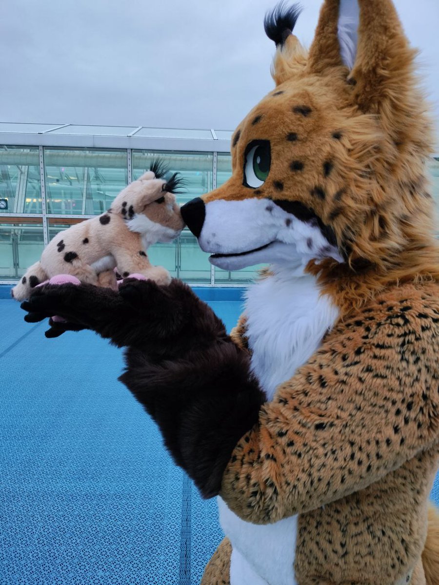 FrostclawArt's tweet photo. Found the little lynx #FurFloat2023 #FursuitFriday
๐ธ@TumeDerg https://t.co/Cdy21qIEpm