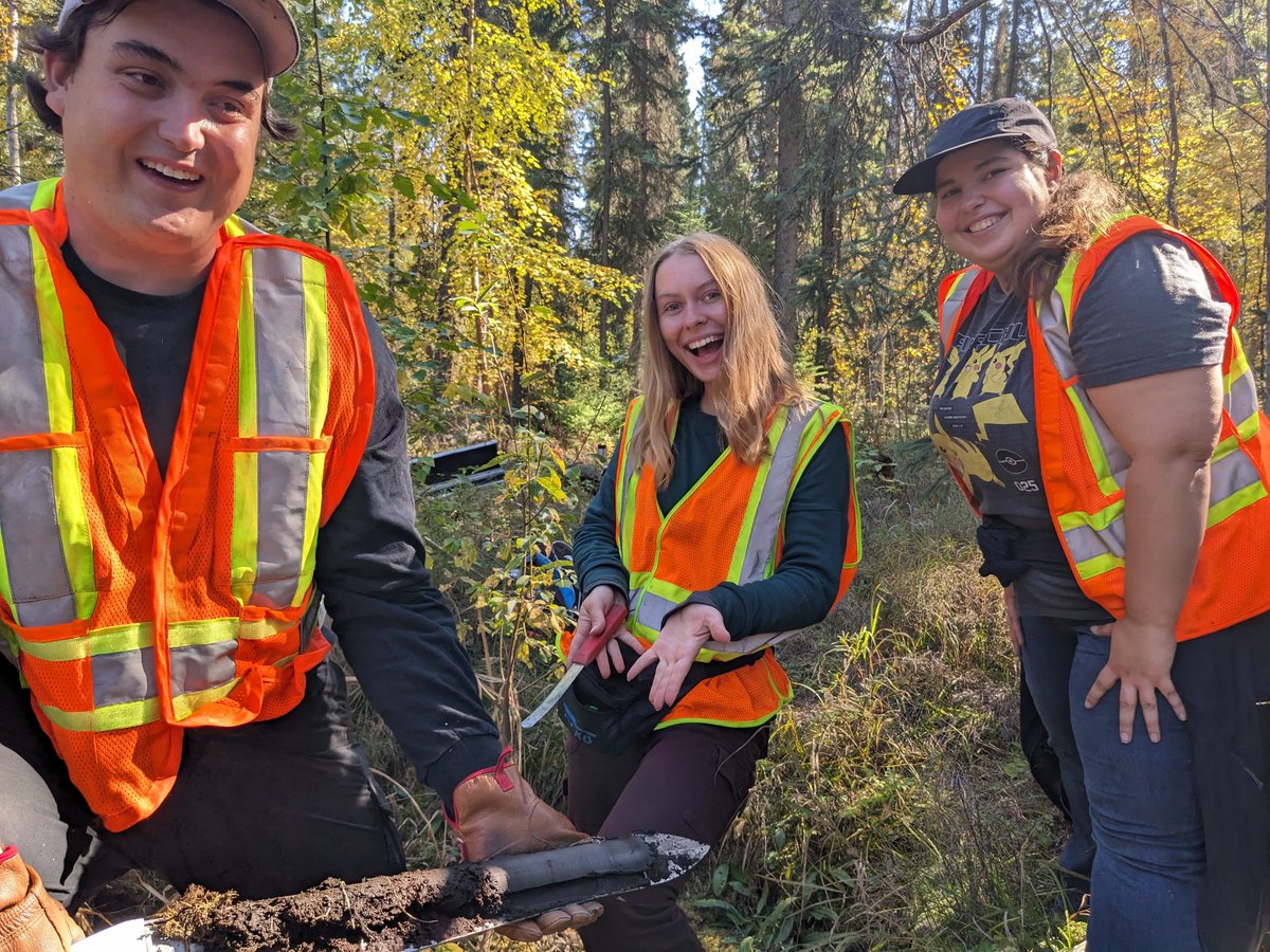 Dr. Bryan Mood tweet media