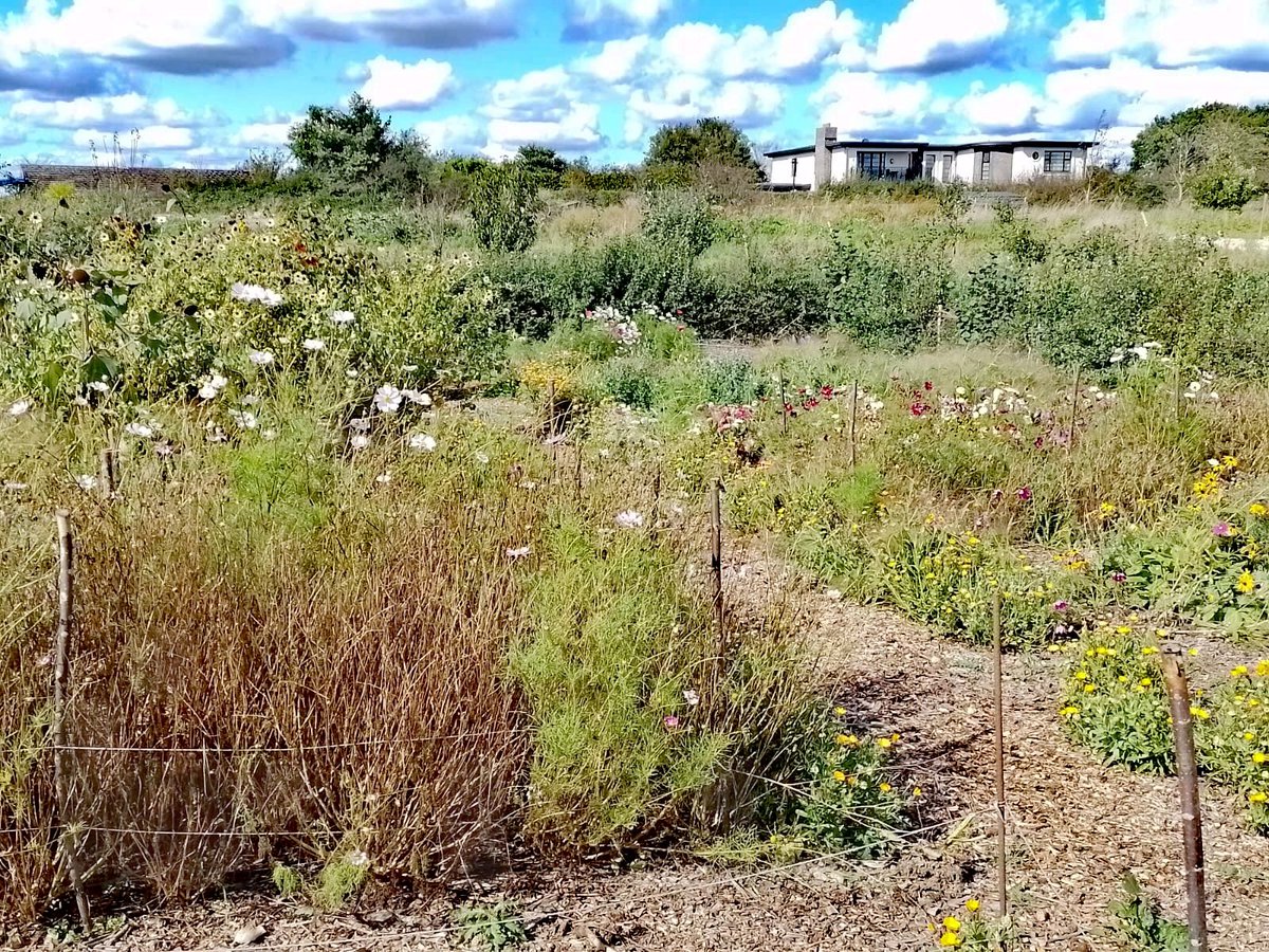 gareth_moir's tweet photo. Exciting visit to see Oak Tree Community Farm, as a possible #HAF provider for 2024. #FeildToFork #SuffolkHAF https://t.co/PADg3GYhqO