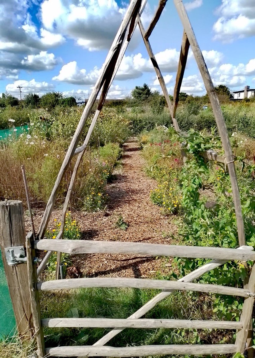 gareth_moir's tweet photo. Exciting visit to see Oak Tree Community Farm, as a possible #HAF provider for 2024. #FeildToFork #SuffolkHAF https://t.co/PADg3GYhqO