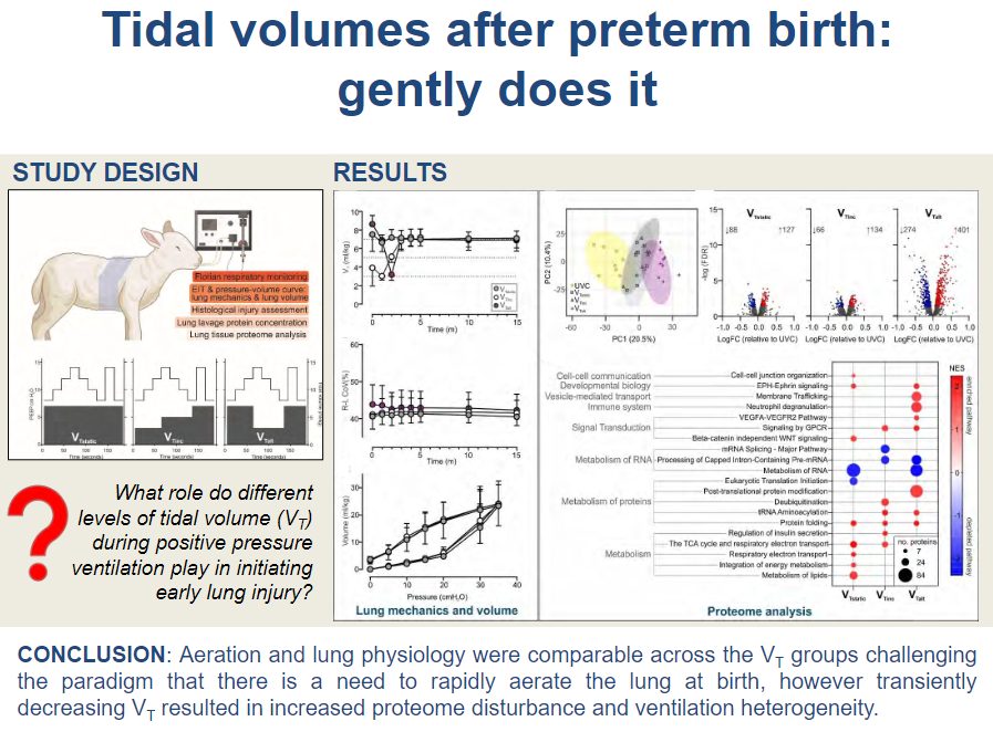 NEW in @ajplung from @dr_prue @ArunSett @DavidTingay @MCRI_for_kids: Impact of tidal volume strategy at birth on initiating lung injury in preterm lambs (Pereira-Fantini et al.)

ow.ly/KT5G50PNRuo

#resuscitation #PretermInfant #LungInjury #ArticlesinPress