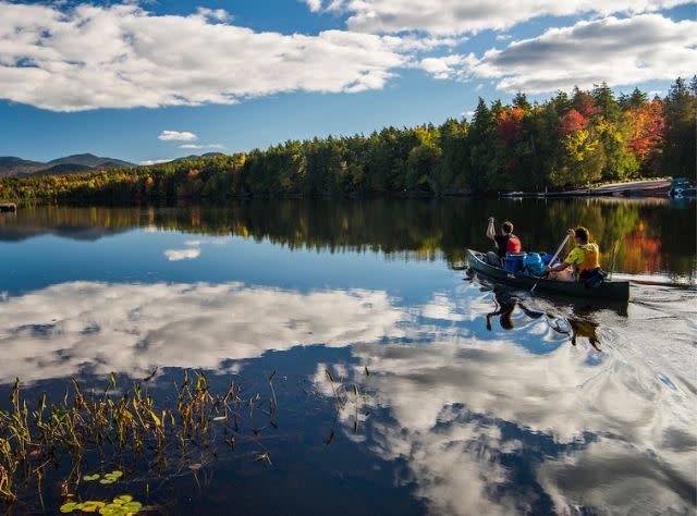 TreesNewYork's tweet image. Spend time outdoors and enjoy the beauty of fall!  Plan your visit and check out the @ I_LOVE_NY #leafpeeping map: tinyurl.com/jjz3pfxn