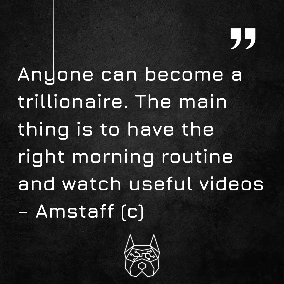 Amstaff tweet media