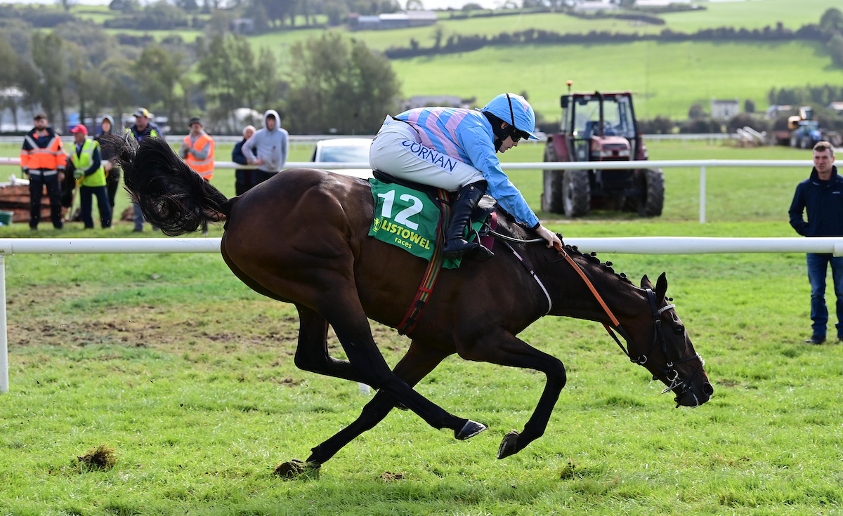 Tag Man and Rachael Blackmore survive a scare at the last! 😯 Read the full race report: bit.ly/3rhbplV 📸 : Healy Racing