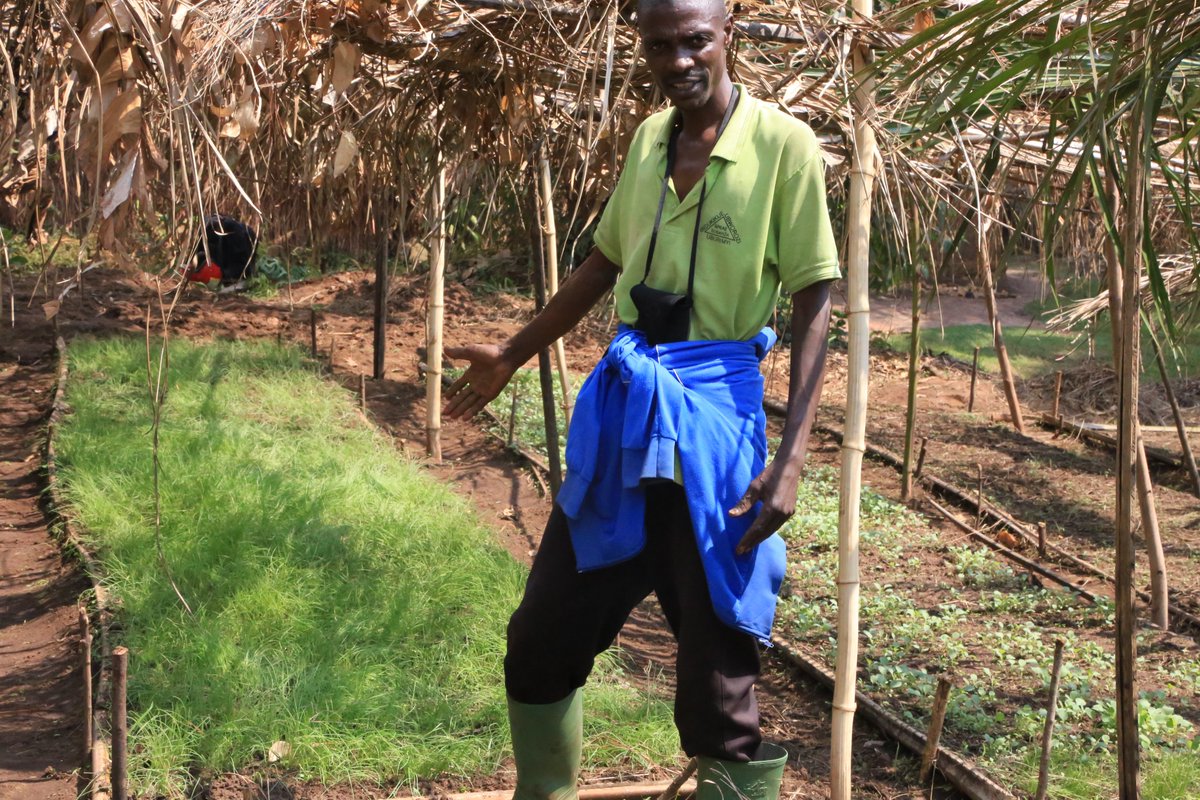 ida_mspburundi's tweet photo. #Sécurité_alimentaire en @CibitokeProv: @Nkuriza_Mspls initie et vulgarise les germoirs pour semences maraichères. Les plantules d' #amarantes, #ognons rouge et blanc, #poireaux, #poivrons et #choux seront bientôt transplantés ds des jardins potagers des bénéficiaires ciblés https://t.co/4y8orPPH4K