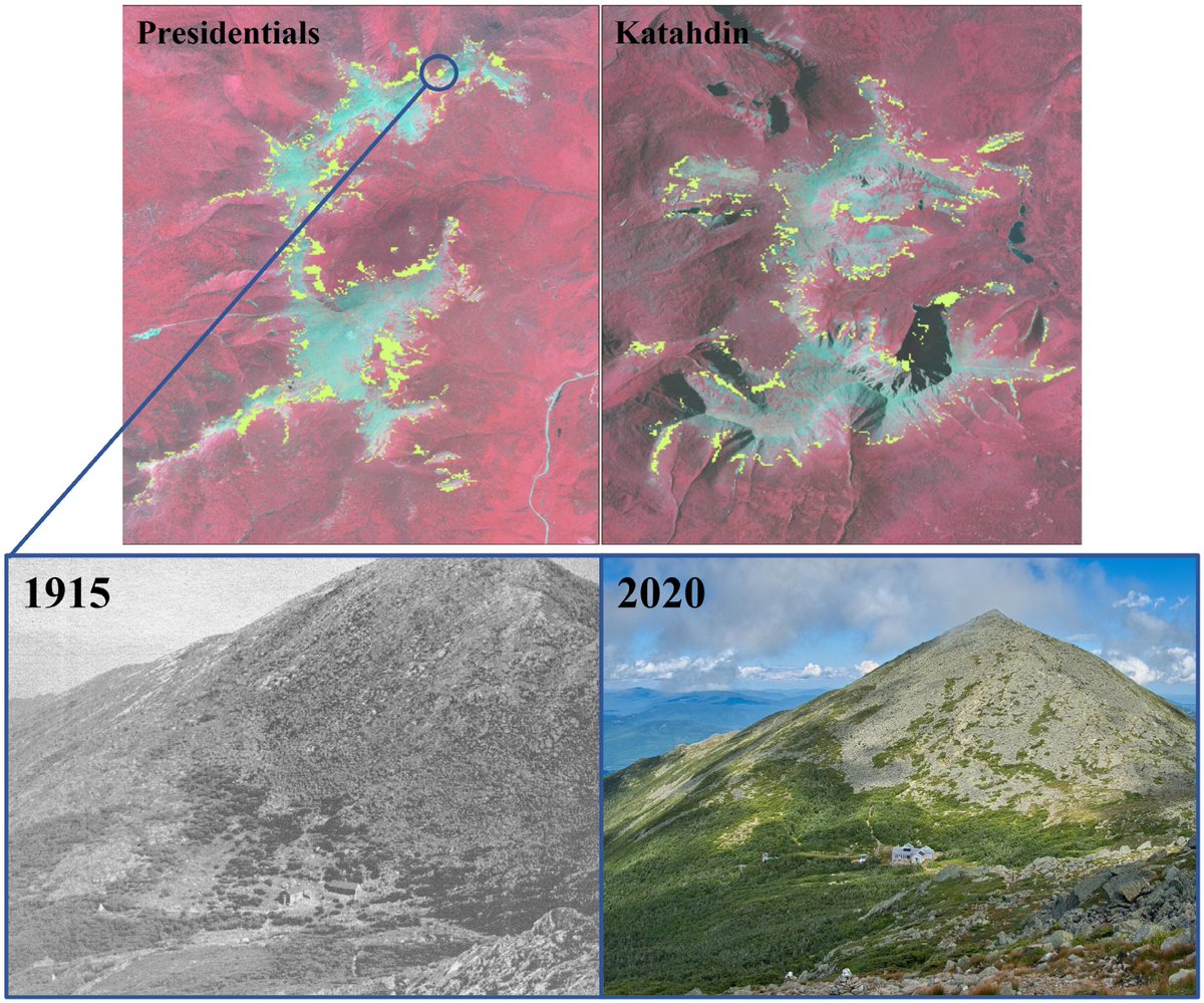 Martin Dovciak🌱🌻🌳 (@dovciaklab) on Twitter photo 🔔New paper❗️ Treelines in the U.S. Northeast shifted upslope by 3 m/decade on average w/climate warming. Treeline form, topography, & mesoclimate affected the magnitude of the shift! Kudos to @JordonTourville for this PhD work <a href="/sunyesf/">SUNY ESF</a> w/<a href="/AppMtnClub/">Appalachian Mtn Club</a>!
onlinelibrary.wiley.com/doi/abs/10.111… 🔔New paper❗️ Treelines in the U.S. Northeast shifted upslope by 3 m/decade on average w/climate warming. Treeline form, topography, & mesoclimate affected the magnitude of the shift! Kudos to @JordonTourville for this PhD work <a href="/sunyesf/">SUNY ESF</a> w/<a href="/AppMtnClub/">Appalachian Mtn Club</a>!
onlinelibrary.wiley.com/doi/abs/10.111…