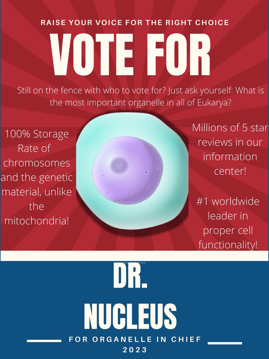 Dr. Nucleus tweet media