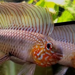 #新しいプロフィール画像