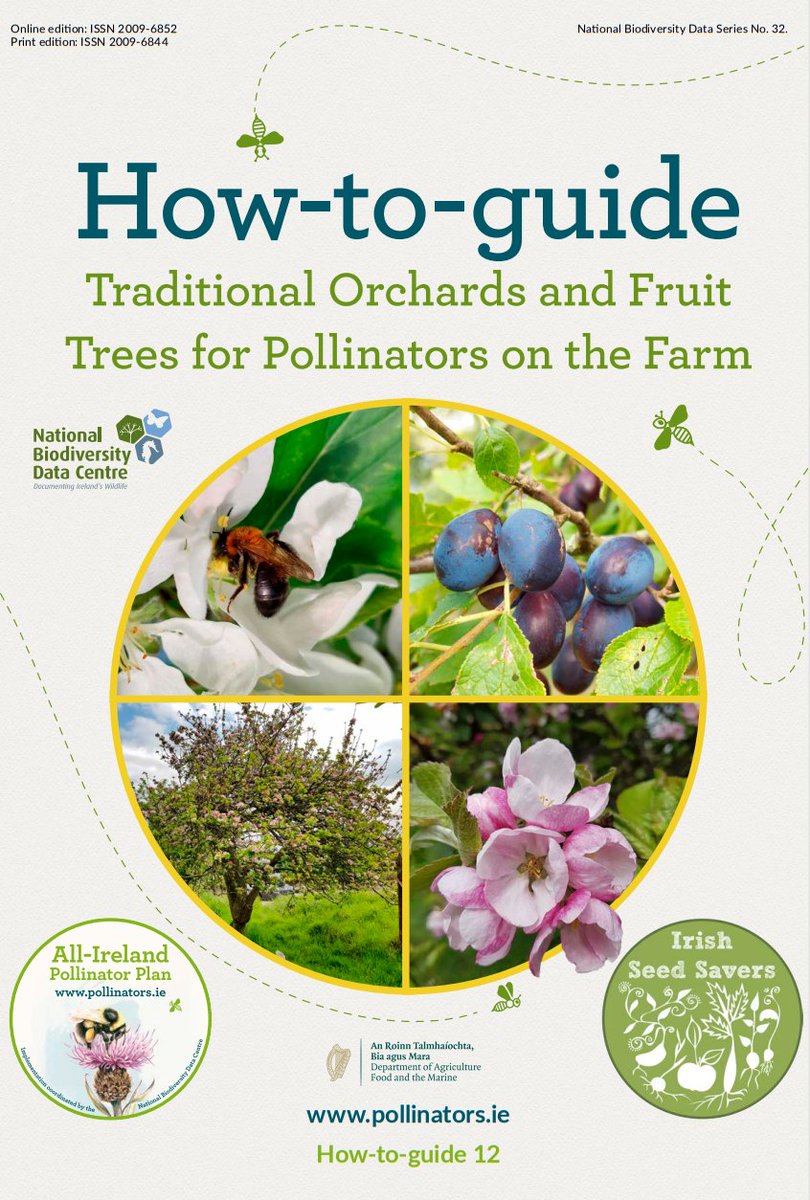 Have you seen our new guide about orchards &amp; fruit trees? 😍🐝🍏🍎

Developed with <a href="/IrishSeedSavers/">Irish Seed Savers</a>, it tells you how to create &amp; manage a traditional orchard of heritage fruit trees, &amp; why they're important for our pollinators.

Download for free here ➡️ tinyurl.com/3vnjmfa3