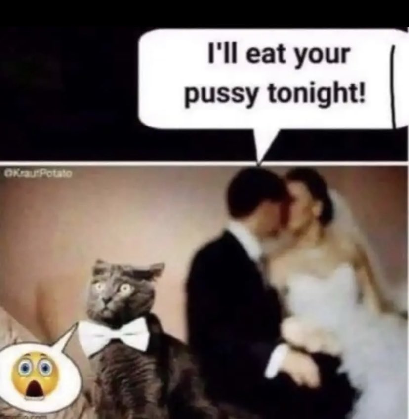 bugdea1er's tweet image. 