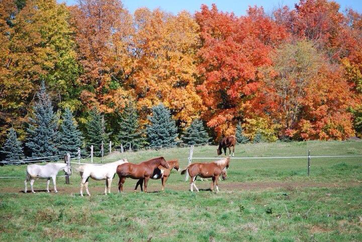 Blake Schofield tweet media