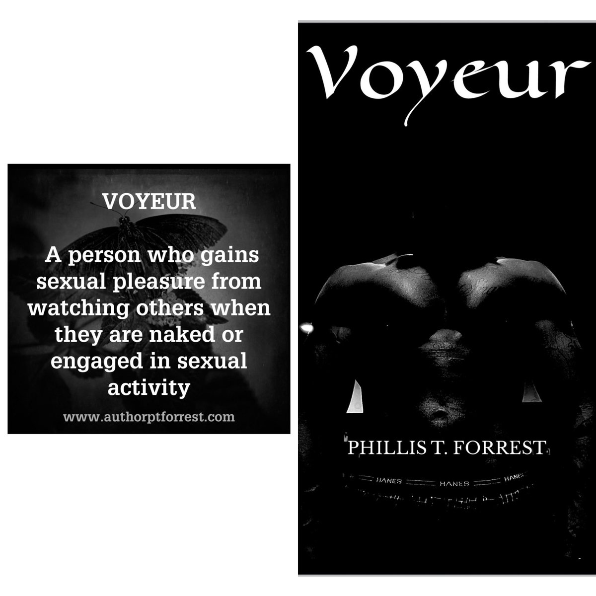 AuthorPTForrest's tweet photo. Every night a dark shadow watched her from across the way. At first she was afraid but eventually she began to love his attentiveness.
She became his EXHIBITIONIST. 
https://t.co/V4aZ0hrxwd #Subcribe #website #Standalone #voyeur https://t.co/WkUaeSDw0x