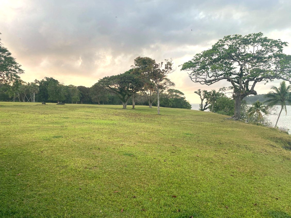 satoshiisland's tweet photo. Did you catch our space on the 
Satoshi Island Modules?  

The land is ready.... https://t.co/WWPqSPAgVA
