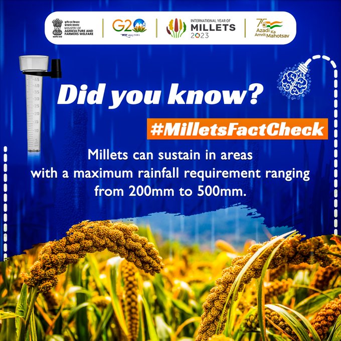 IndiainSwiss's tweet photo. #internationalyearofmillets
#DidYouKnow ?
Millets can sustain in areas with a maximum rainfall requirement ranging from 200 mm to 500 mm.
@MEAIndia @AgriGoI @MoHFW_INDIA @icarindia @IYM2023 #IYM2023 #YearofMillets #milletsfactcheck https://t.co/yyUZ9pdAVV
