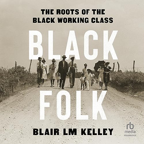 Today's #audiobook pick from Damn History, the free monthly newsletter for fans of #popularhistory. Congrats to author @profblmkelley & reader @AnikaNoniRose! Check out print edition from @LiverightPub. Like #history? Damn History subscriptions/archive: tinyletter.com/jelhai