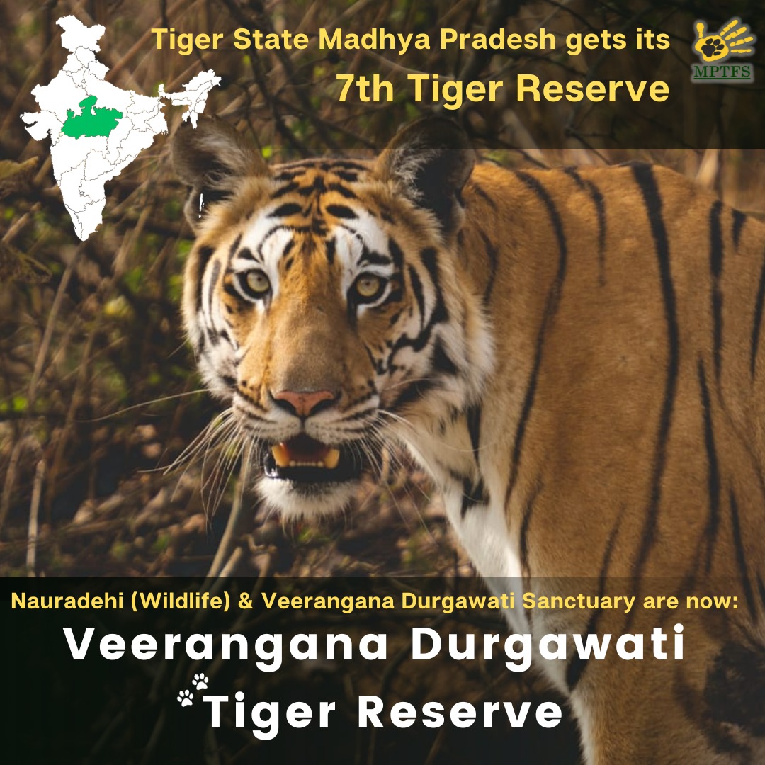 🐅 Exciting News! 🎉 Madhya Pradesh just got a new Tiger Reserve! 🌳🇮🇳 Let's celebrate this step towards wildlife conservation and protecting our magnificent tigers. 🐾🌟 #TigerReserve #MadhyaPradeshWildlife #ConservationWin 🌿🐯
