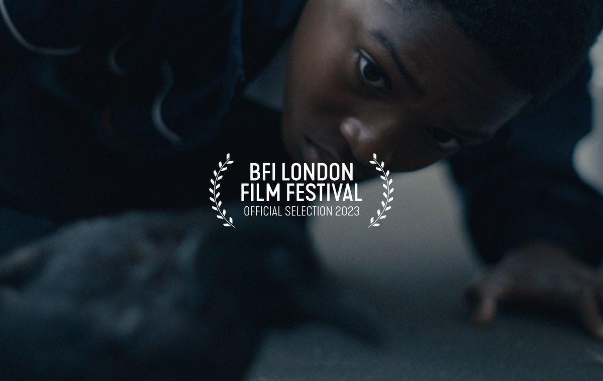 Billy Boyd Cape tweet media