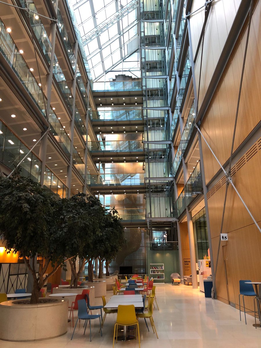 Melina Galdos tweet media