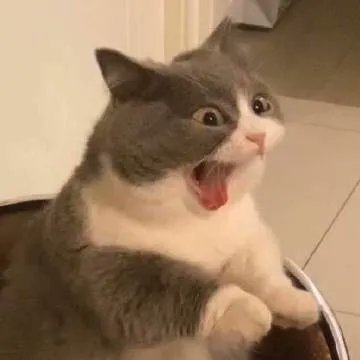 ¡Al fin es viernes! 🥹