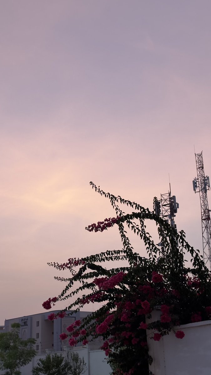 عشوائيات ثاني أسبوع جامعي✨✨. 
#جامعة_صحار