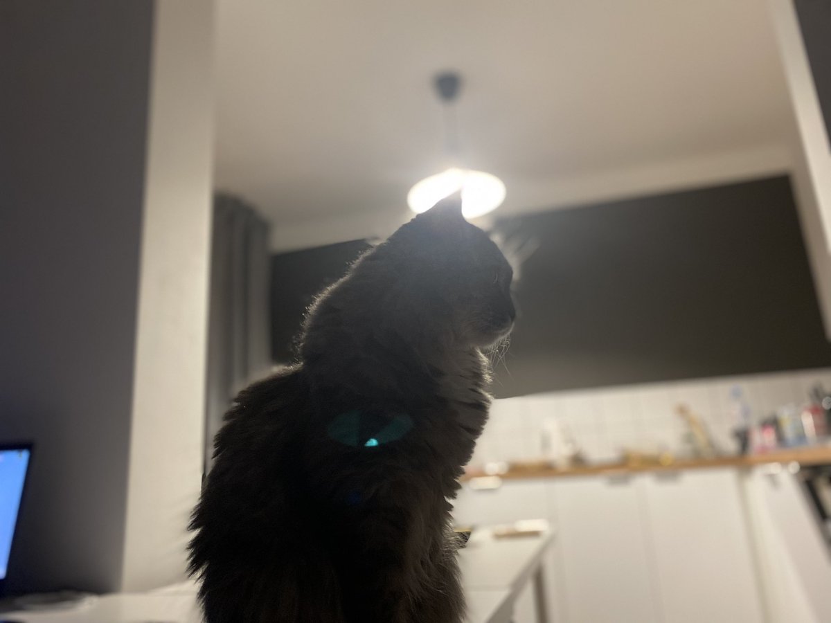 tammy swanson swanson tweet media