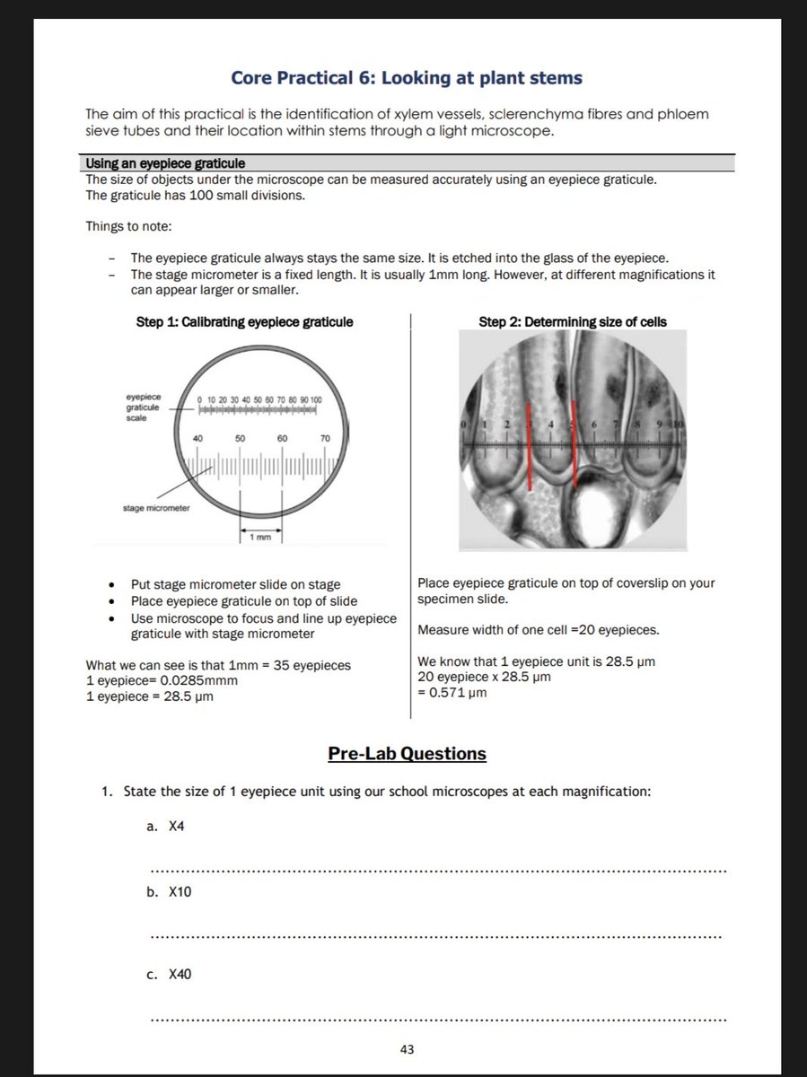 Nicolelogier22's tweet photo. Updated practical booklets for A level biology!  These were made for Edexcel A but can be adapted for other specs. Each practical includes pre-lab questions, a method page, space for results, analysis and exam questions. Link to resources in my bio. @chatbiology @cogscisci https://t.co/mu5McqLZAY