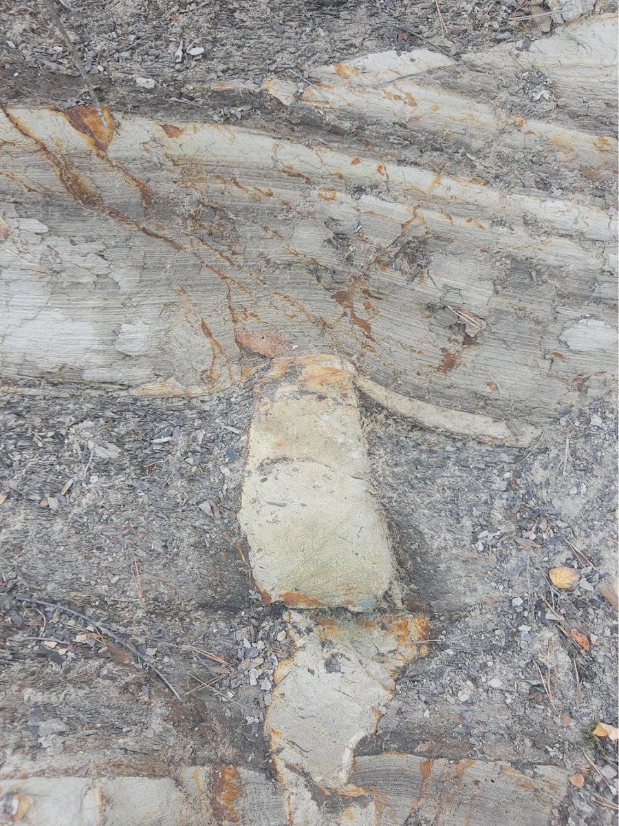 Structural Geology tweet media