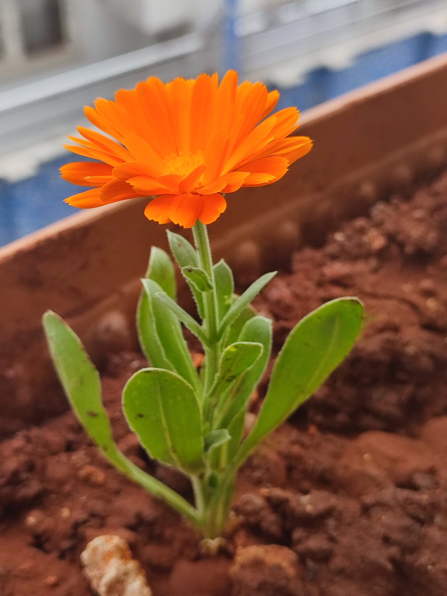 .
.
.
Ve insan anlar ki, yol da yoldaş da Allah’tır…