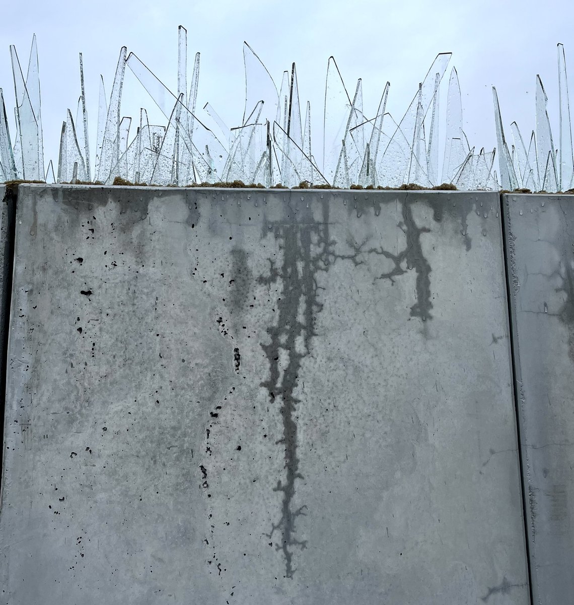 PachmannRene's tweet photo. Tag 91 #sorryinffo - Bei Regen zieht sich die Feuchtigkeit in die kleinen Risse im Beton und lässt sie hervortreten. Es wirkt, als würde die Mauer vom Regen langsam aufgetrennt. Ein schönes Zeichen! https://t.co/4sCIIki7Vl