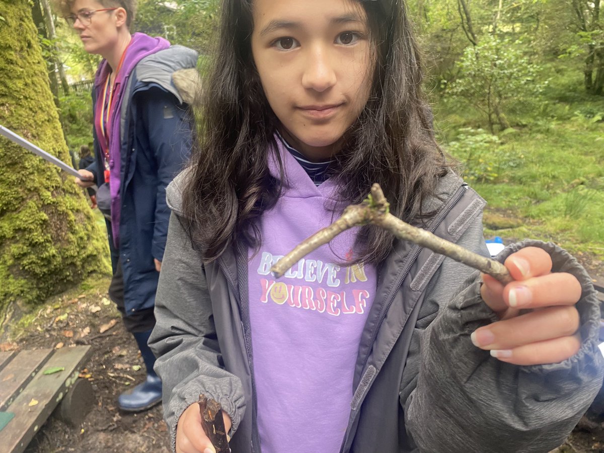 Outdoor Learning today consisted of writing autumnal Haiku poems using the forest as inspiration. We also looked at angles in nature. We are so lucky to have all this space on our doorstep <a href="/Stirling_ESOE/">Stirling Outdoor Ed</a> <a href="/JohnMuirTrust/">John Muir Trust</a>