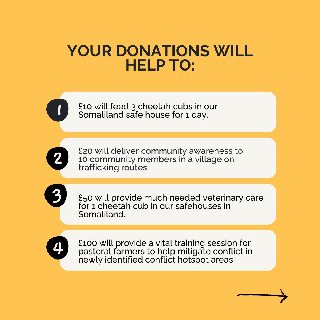 CCFCheetahUK's tweet photo. Over the past 50 years, cheetahs have become extinct in at least 13 African countries. Today there are fewer than 7,100 cheetahs left. To donate now, access the link: https://t.co/fl3XZQFrG8
#charityevent #charityfundraiser #charitychallenge #charityevents #savethecheetahs https://t.co/ld8OfpChzG