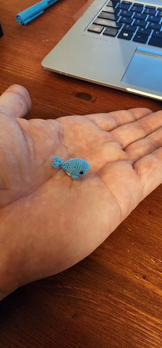 So my son who started crocheting earlier this year, decided to start micro-crocheting. He made a whale.