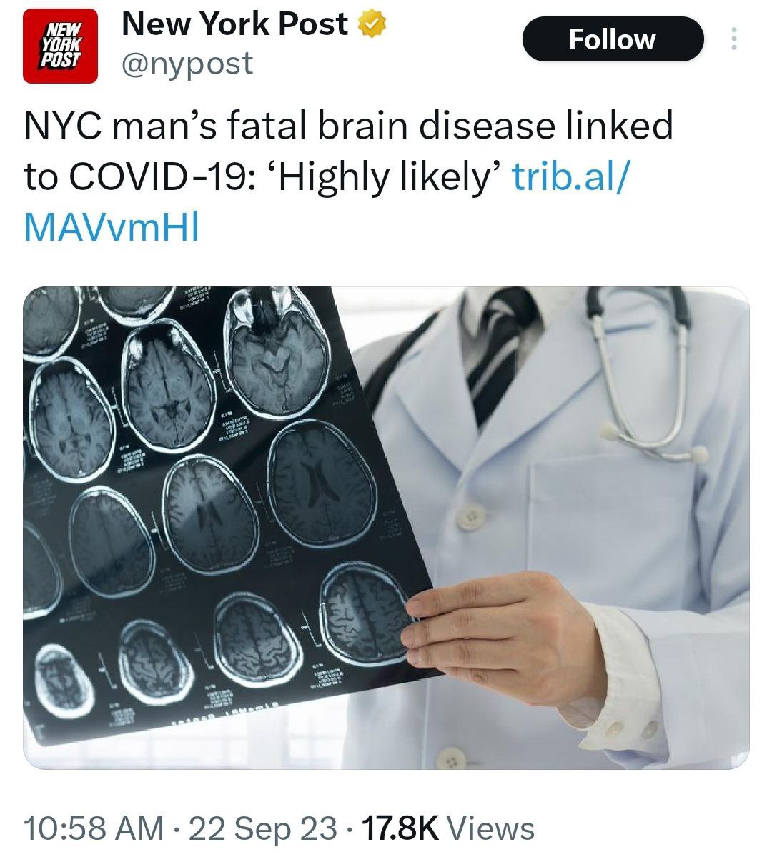 Died Suddenly tweet media