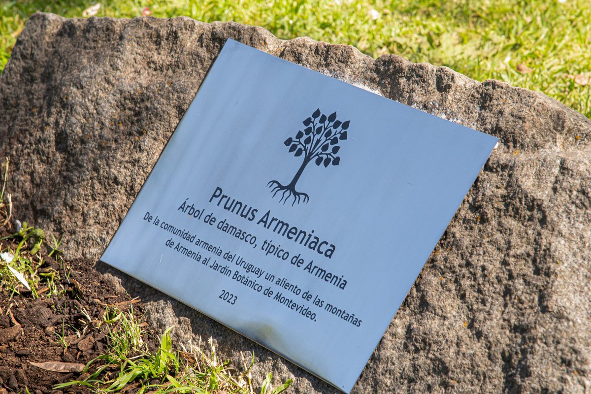 Realizamos un homenaje a la comunidad armenia en el Jardín Botánico. El acto finalizó con la reposición de una placa que se encuentra junto a un ejemplar de damasco, árbol nativo de dicho país, que fue donado por la comunidad.