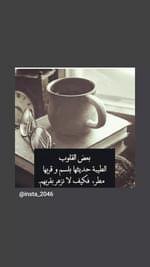 صقر الجزيره (@bwbrhymlsmyry2) on Twitter photo 