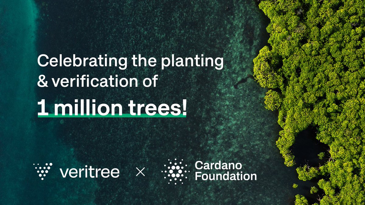 veritree (@veritree_) on Twitter photo Today, we’re celebrating the planting and verification of the 1 millionth tree in the Cardano Forest. 🙌🌱
This campaign would not have been possible without the support of the <a href="/Cardano_C/">Cardano Marjorie C </a> , @climateneutral, <a href="/CardanoTrees/">CardanoTrees</a> NFT, & <a href="/StellarHoodNFT/">StellarHoodNFT</a>
Visit: veritree.com/impact-hub/car… Today, we’re celebrating the planting and verification of the 1 millionth tree in the Cardano Forest. 🙌🌱
This campaign would not have been possible without the support of the <a href="/Cardano_C/">Cardano Marjorie C </a> , @climateneutral, <a href="/CardanoTrees/">CardanoTrees</a> NFT, & <a href="/StellarHoodNFT/">StellarHoodNFT</a>
Visit: veritree.com/impact-hub/car…