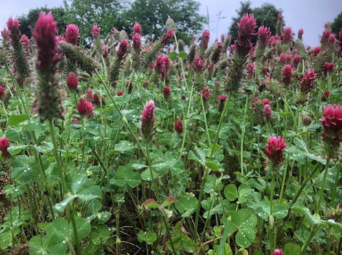 Natural Resources Conservation Service tweet media