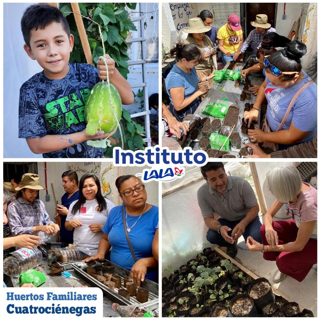 Instituto Lala impulsa el proyecto de huertos familiares en Cuatrociénegas, Coah. Fortaleciendo la diversidad de la dieta de la comunidad.
¡Compromiso en acción para un futuro más saludable!

#InstitutoLala #ApoyoComunitario #AFavordelaNutrición