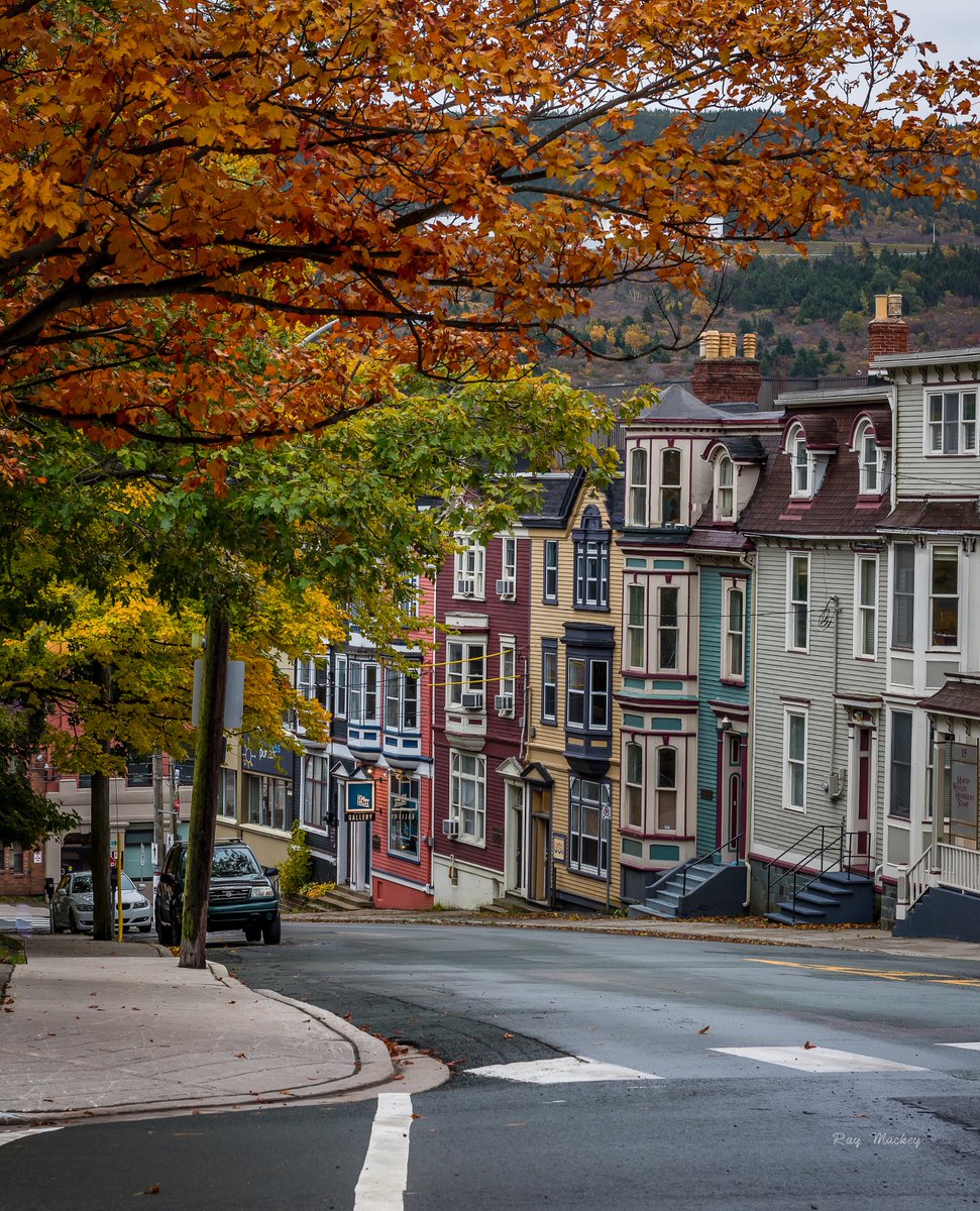 RayMackeyNL's tweet photo. St. John's, Newfoundland. #newfoundland #Canada #explorenl #explorecanada https://t.co/VxwXY2zP8X